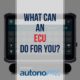 What Can an ECU Do for You